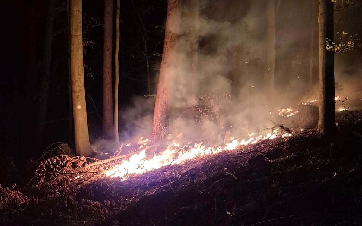 KW33 Waldbrand Kahlgrund KW33 Waldbrand Kahlgrund