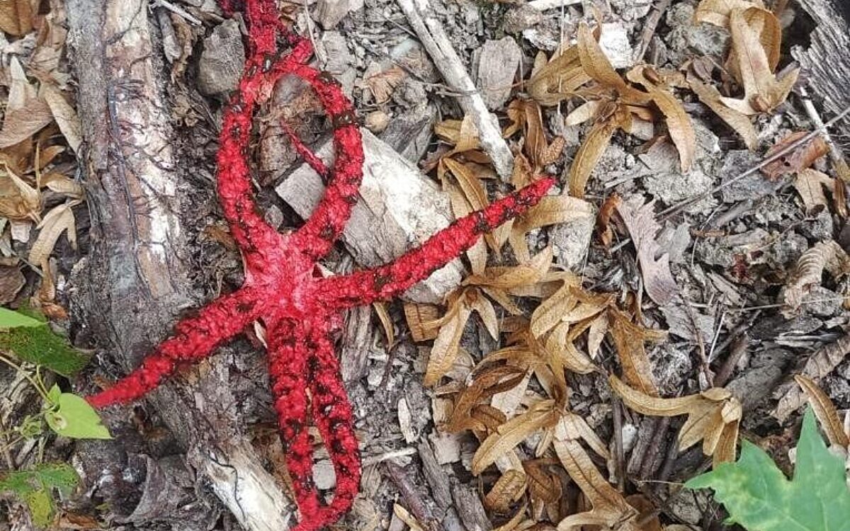 KW40 Leserreporter KW40 Leserreporter