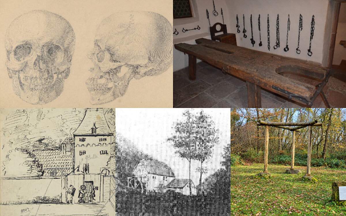 KW43 Gruselfacts Collage KW43 Gruselfacts Collage