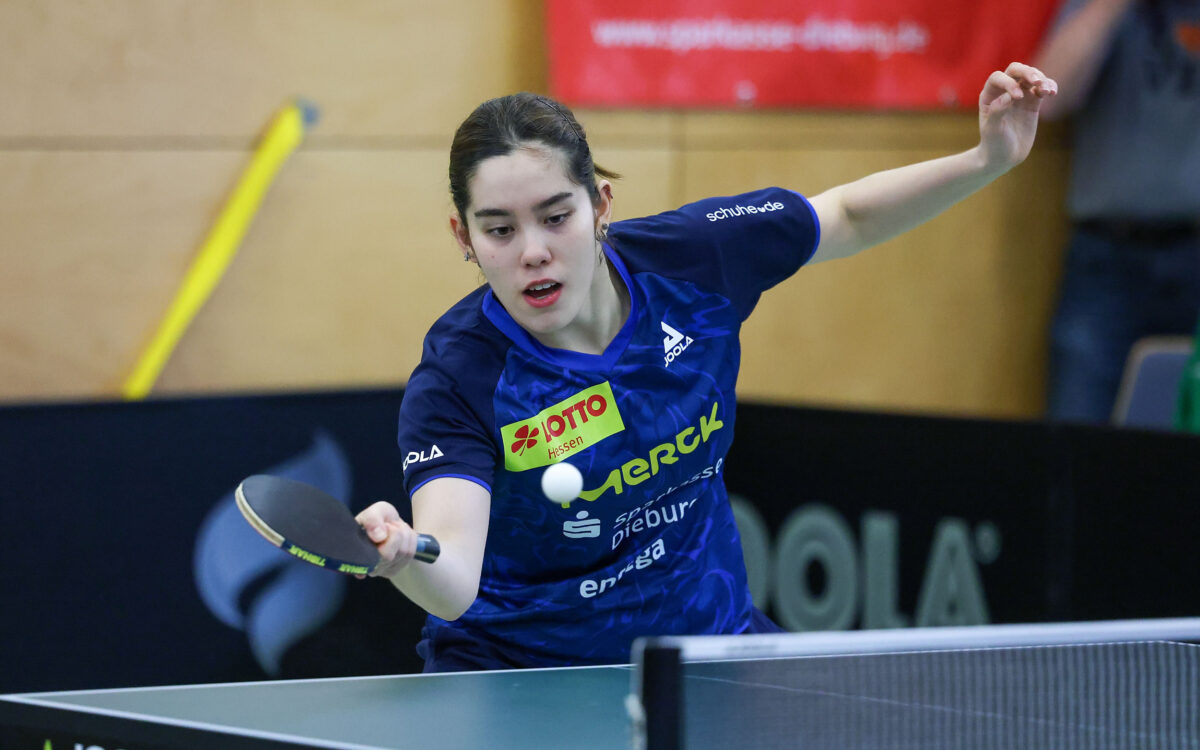 KW44 SPORT KW44 SPORT