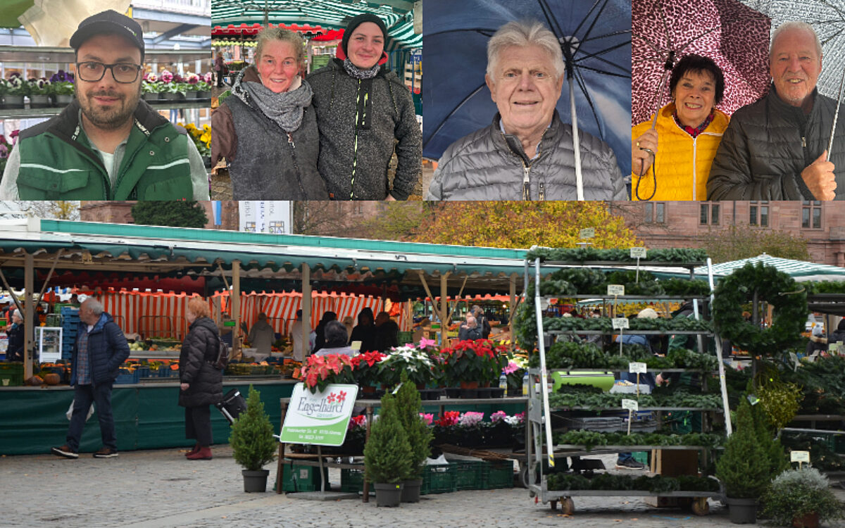 KW44 Markt Collage
