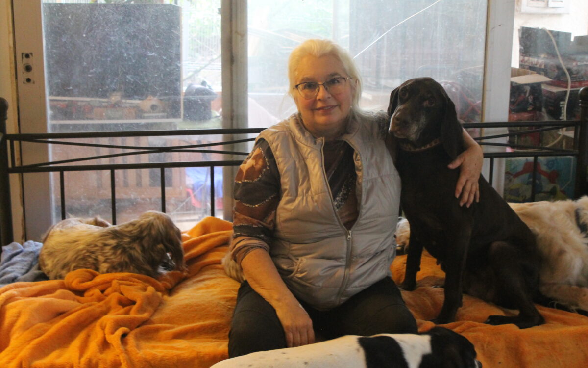 KW45 Hund 1 KW45 Hund 1