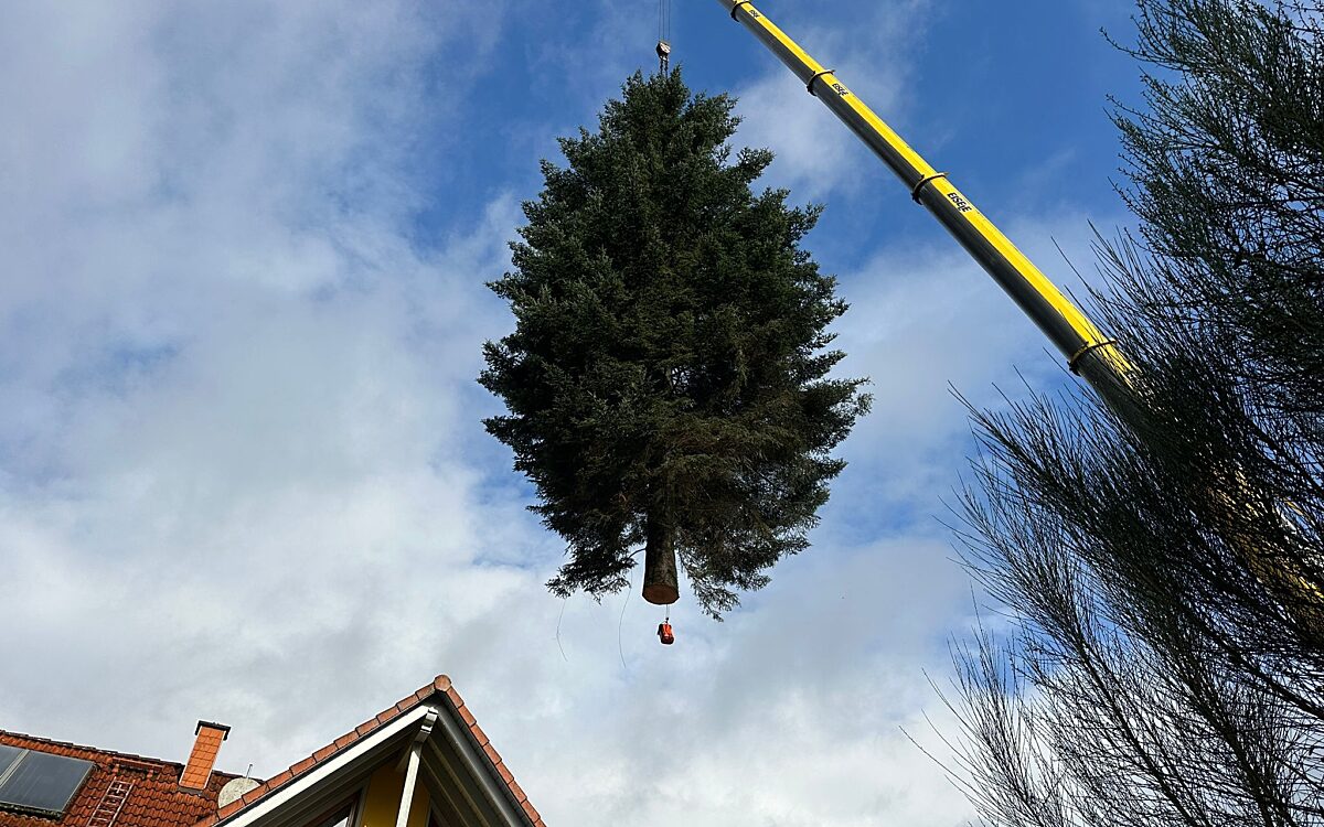 KW48 Bildergeschichte Frau Holle4 KW48 Bildergeschichte Frau Holle4