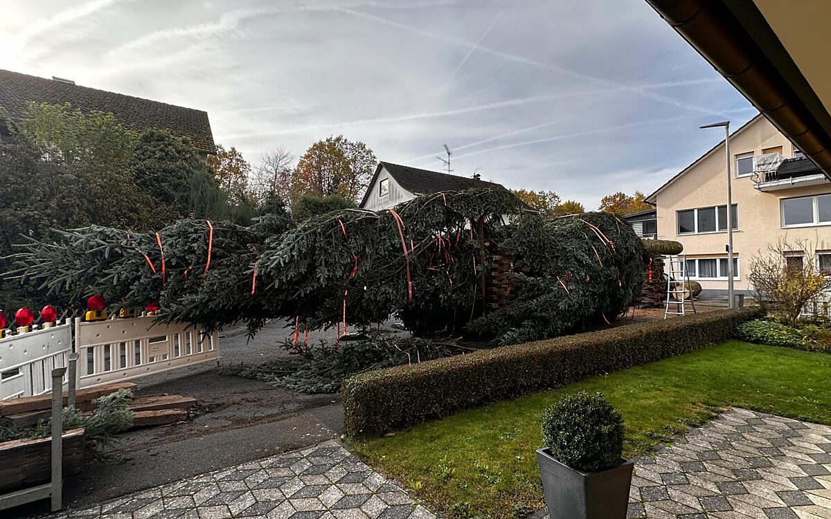 KW48 Bildergeschichte Frau Holle5 KW48 Bildergeschichte Frau Holle5