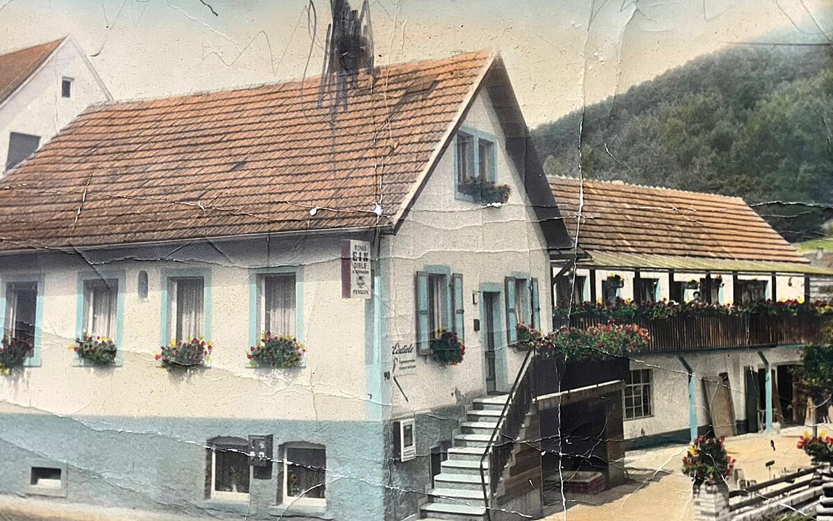 KW49 Disco Paula3 KW49 Disco Paula3