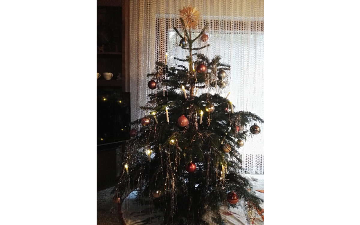 Katja und Waltraud Baumgaertner aus Michelbach Katja und Waltraud Baumgaertner aus Michelbach