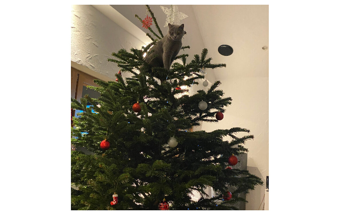 Lena Messner Johannes Igl Sulzbach Lena Messner Johannes Igl Sulzbach