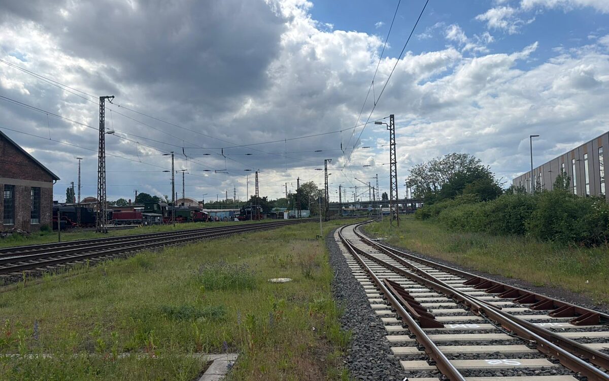 Lockschuppenfest1 Lockschuppenfest1