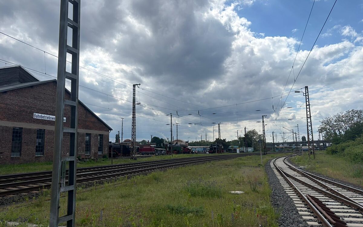 Lockschuppenfest2 Lockschuppenfest2