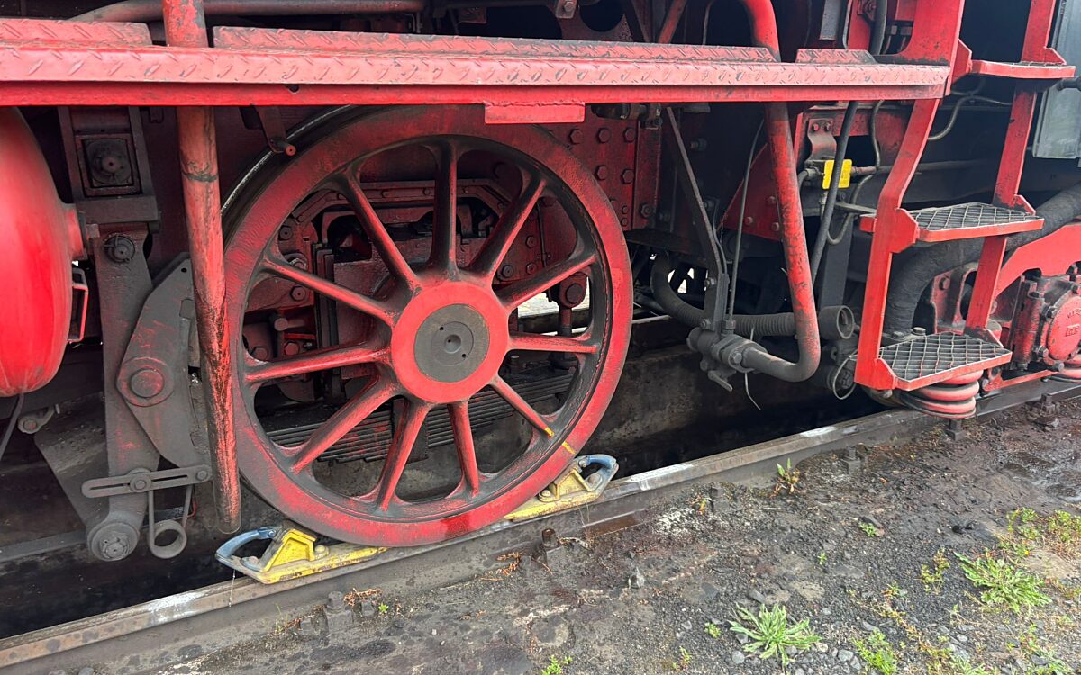 Lockschuppenfest7 Lockschuppenfest7