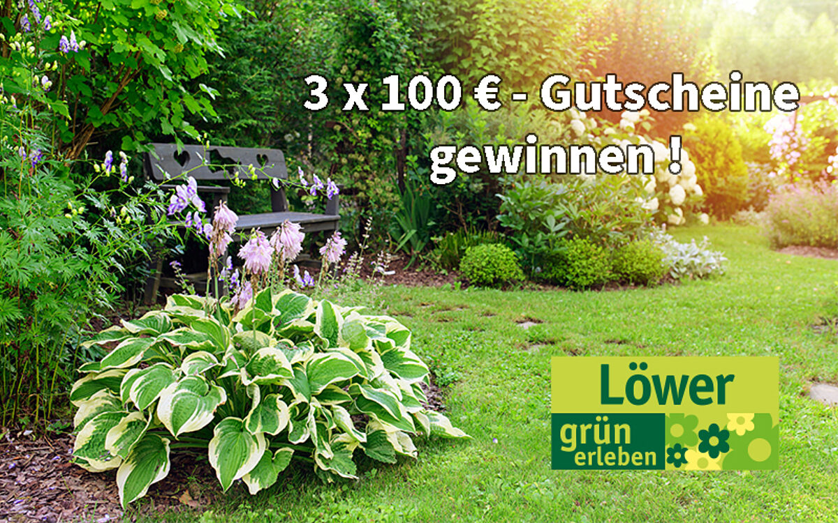 Loewer Gewinnspiel Prima Sonntag Loewer Gewinnspiel Prima Sonntag