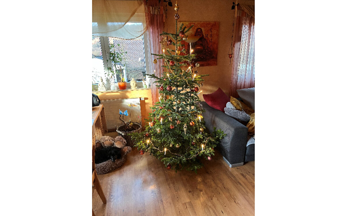 Lucia Bahmer aus Buergstadt Lucia Bahmer aus Buergstadt