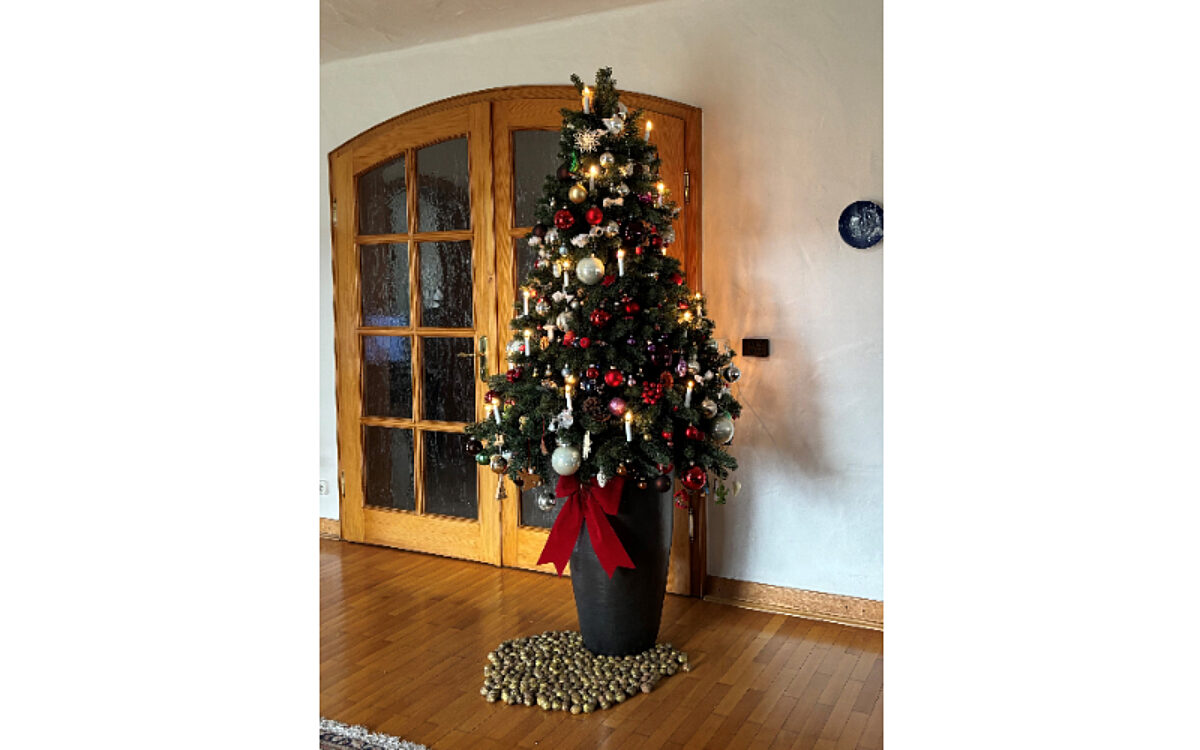 Margareta Bellan aus Aschaffenburg Margareta Bellan aus Aschaffenburg