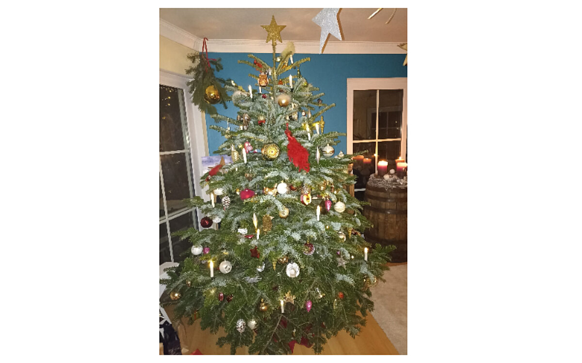 Markus Klein aus Weilbach Markus Klein aus Weilbach