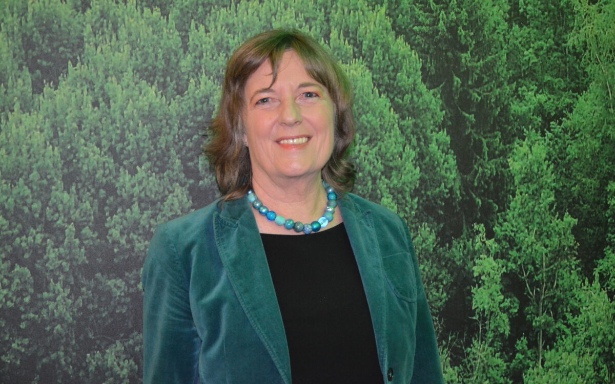 Neujahrsempfang gruenen 9 Neujahrsempfang gruenen 9