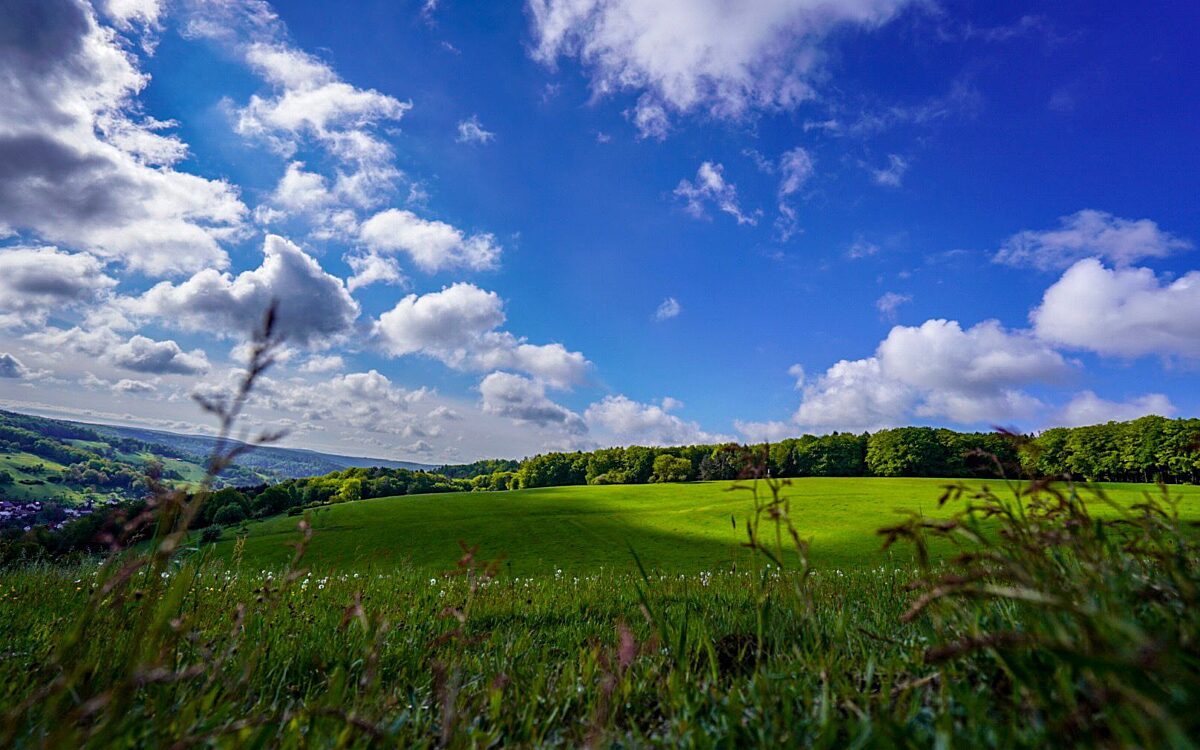 Nico Kraus aus Hessenthal Hessenthal im Fruehluing Nico Kraus aus Hessenthal Hessenthal im Fruehluing