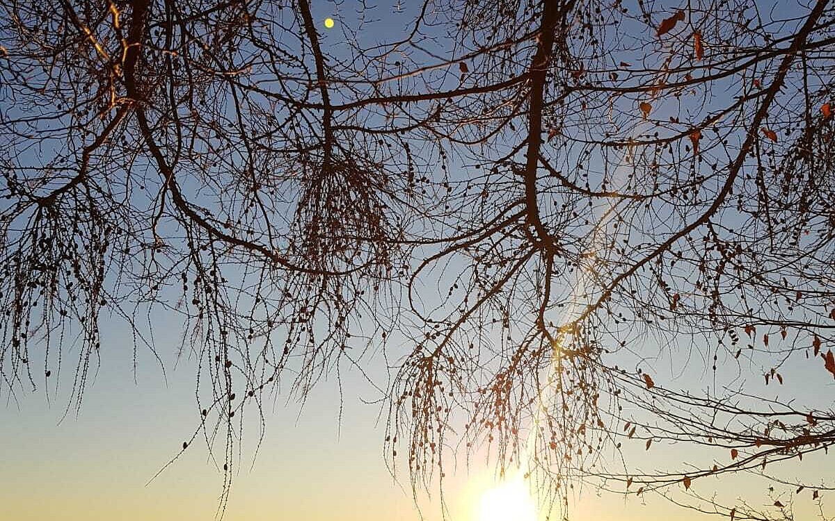 Nicole Spielmann Heimbuchental Heimbuchental Nicole Spielmann Heimbuchental Heimbuchental