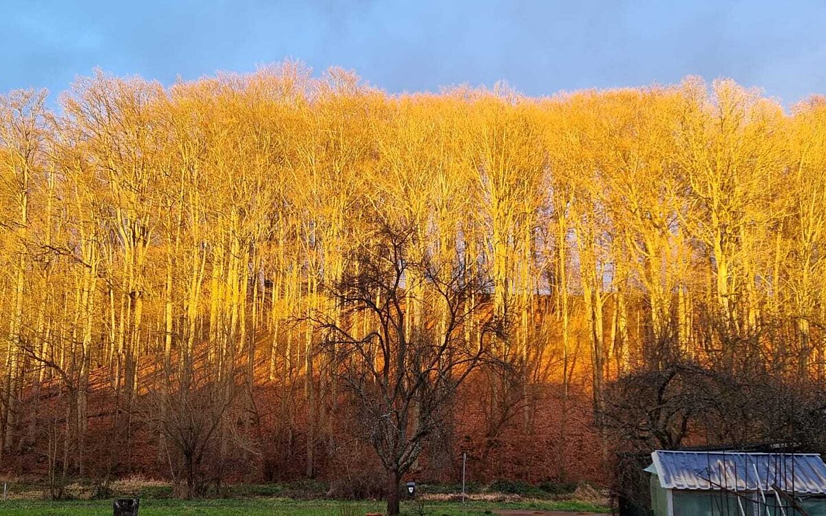 Nicole oberer Kahlgrund Nicole oberer Kahlgrund