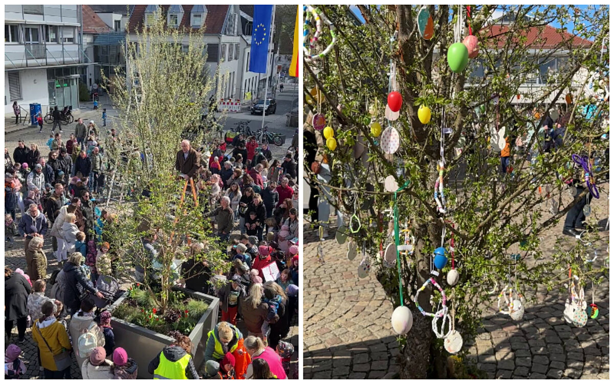 Osterbaum Hoesbach online Osterbaum Hoesbach online