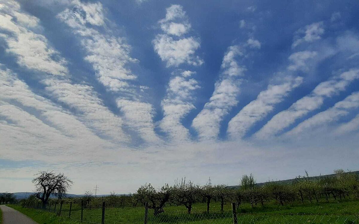 Petra Niedernberg an der blauen Bruecke Petra Niedernberg an der blauen Bruecke