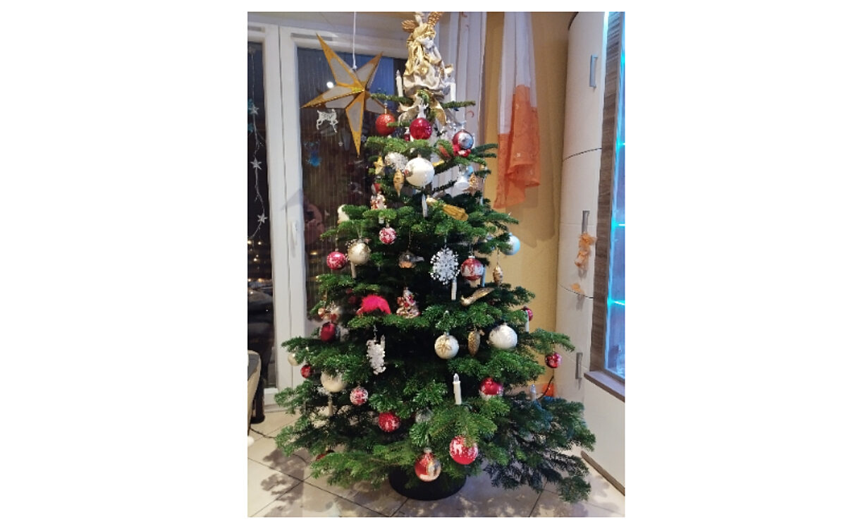 Robert Schmitt Aschaffenburg Robert Schmitt Aschaffenburg