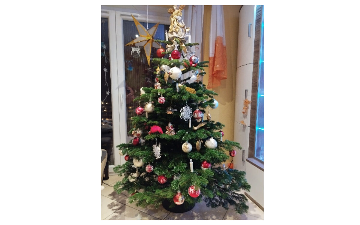 Robert Schmitt aus Aschaffenburg Robert Schmitt aus Aschaffenburg