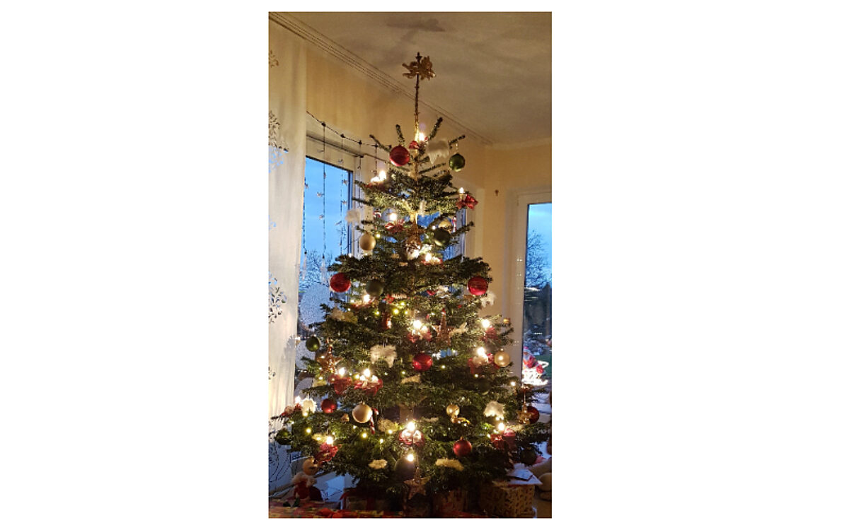 Sabine Braun aus Schweinheim Sabine Braun aus Schweinheim