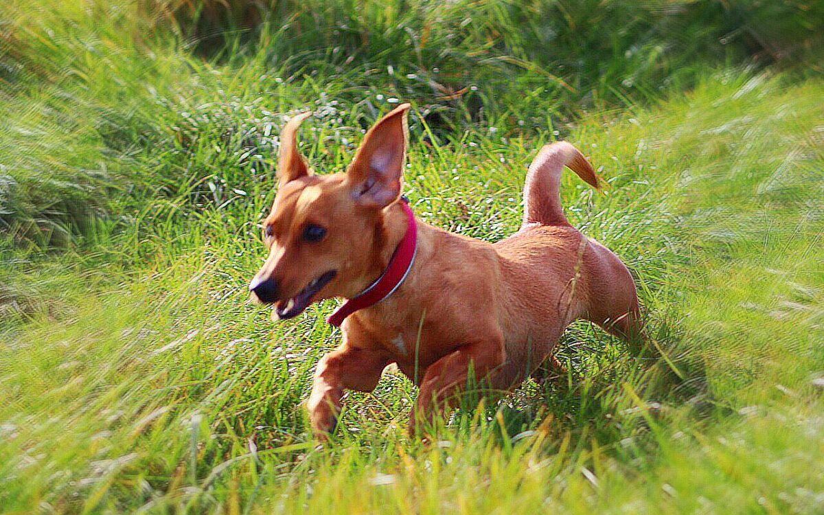 Sabine in Krombach Sabine in Krombach