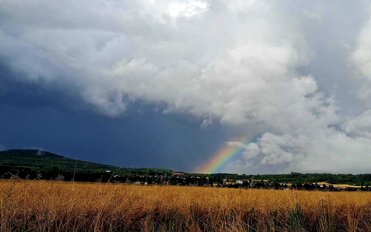 Sandra aus dem Kahlgrund Regenbogen Freigericht Sandra aus dem Kahlgrund Regenbogen Freigericht