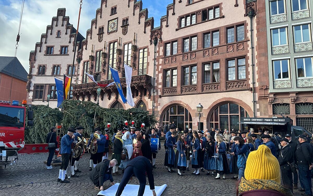 Schoellkrippen Baum Frankfurt 2 Schoellkrippen Baum Frankfurt 2