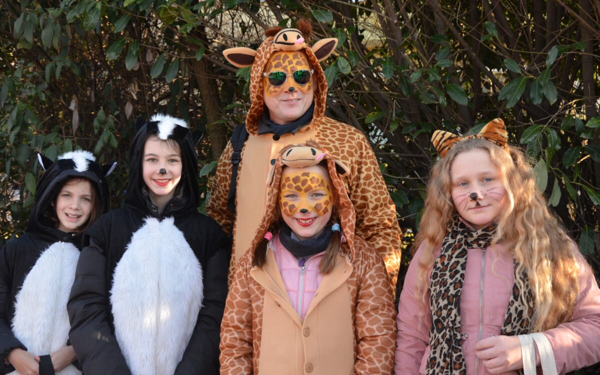 Schoellkrippen Umzug Bilder 10 Schoellkrippen Umzug Bilder 10