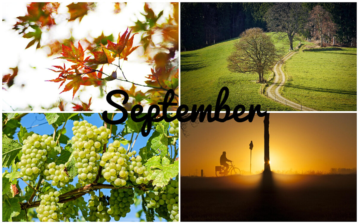 September Collage 2 September Collage 2