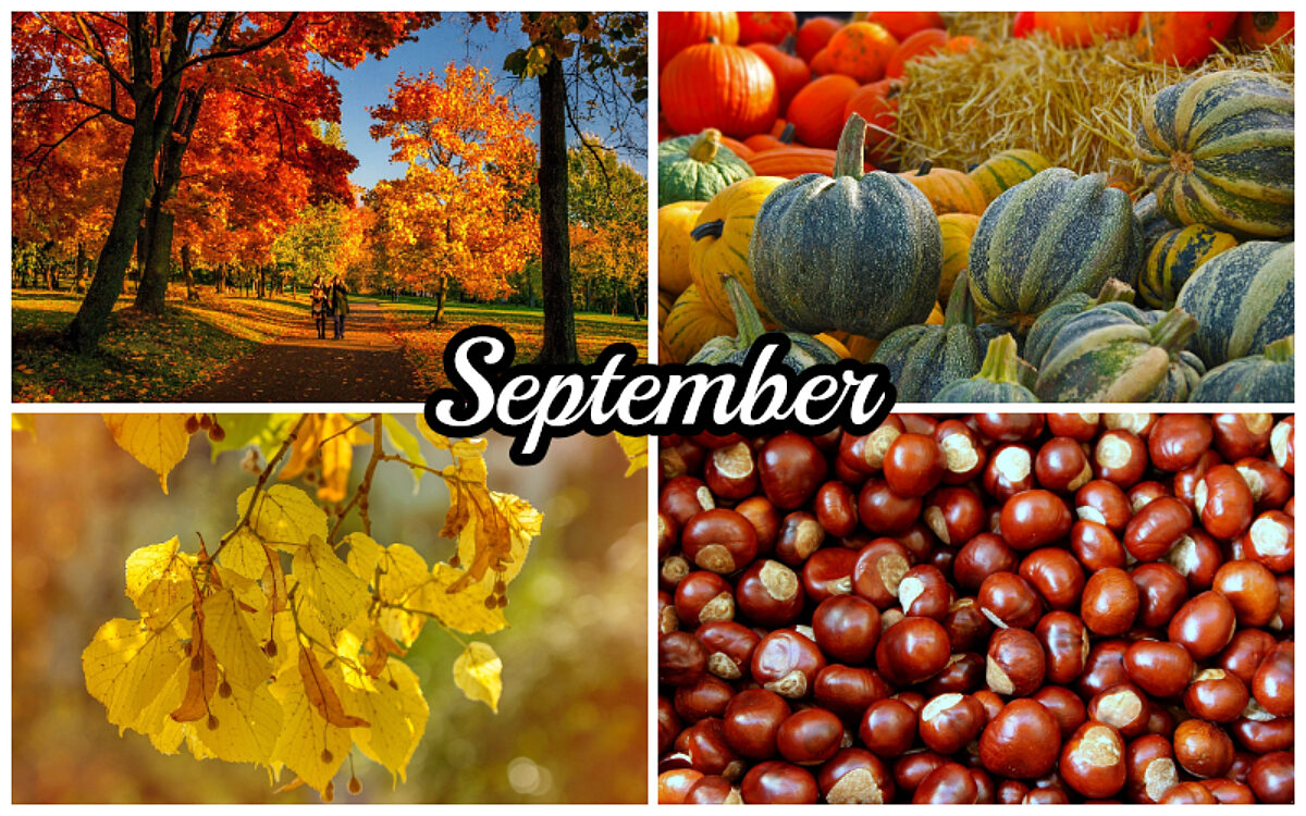 September Veranstaltungstipps September Veranstaltungstipps