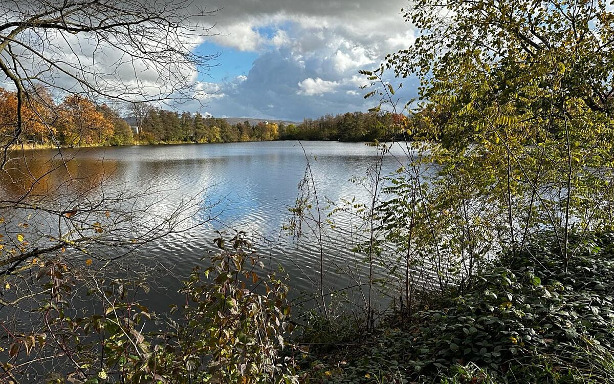 Silvia Kesselheim aus Kahl der Hornsee Silvia Kesselheim aus Kahl der Hornsee