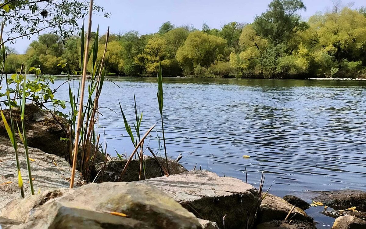 Silvia Ruda aus Obernau Obernau Silvia Ruda aus Obernau Obernau