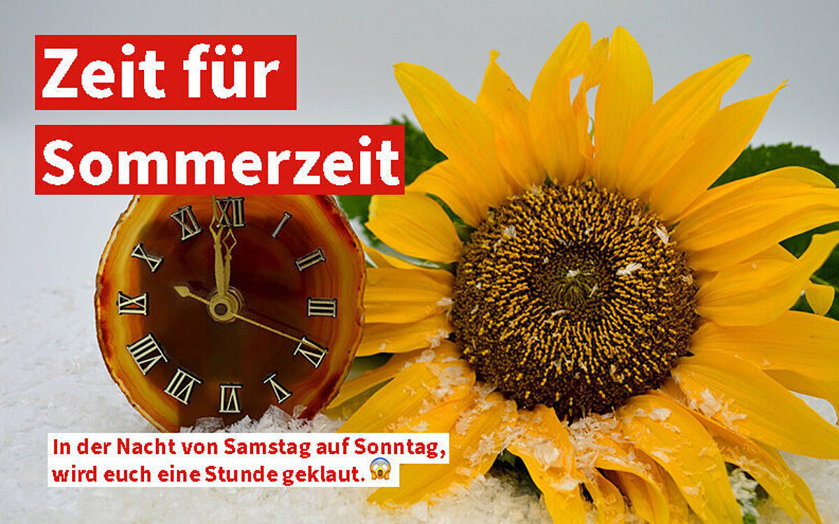 Sommerzeit Template HP Sommerzeit Template HP
