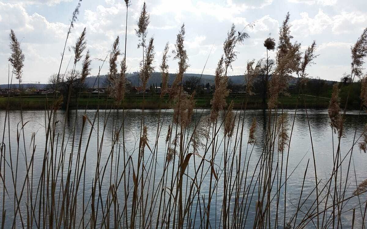 Ute Koenig Blick von Erlenbach nach Woerth Ute Koenig Blick von Erlenbach nach Woerth
