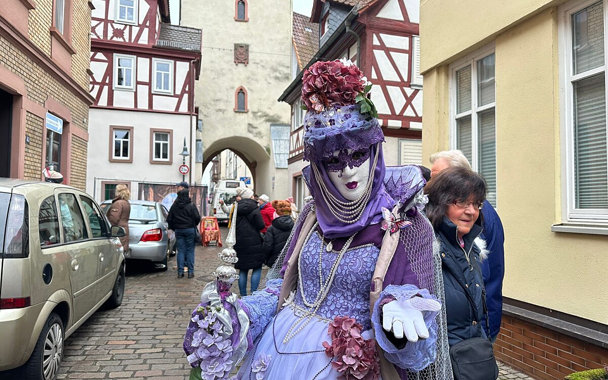 Venezianischer Karneval 11 Venezianischer Karneval 11