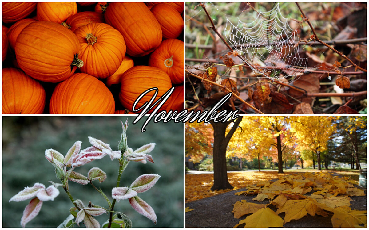 Veranstaltungstipps im November Veranstaltungstipps im November