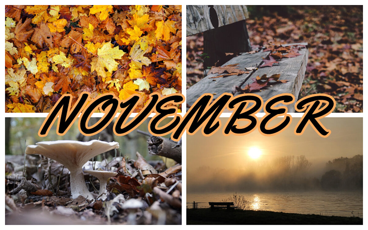 Veranstaltungstipps im November Veranstaltungstipps im November