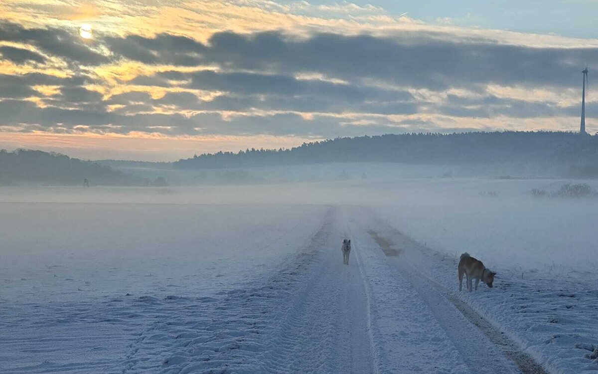 Wagnerova Eva aus Schaafheim Schaafheim Wagnerova Eva aus Schaafheim Schaafheim