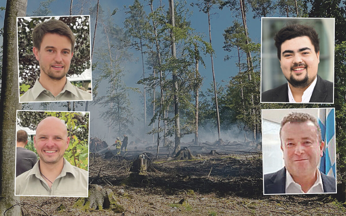 Wald Collage Wald Collage