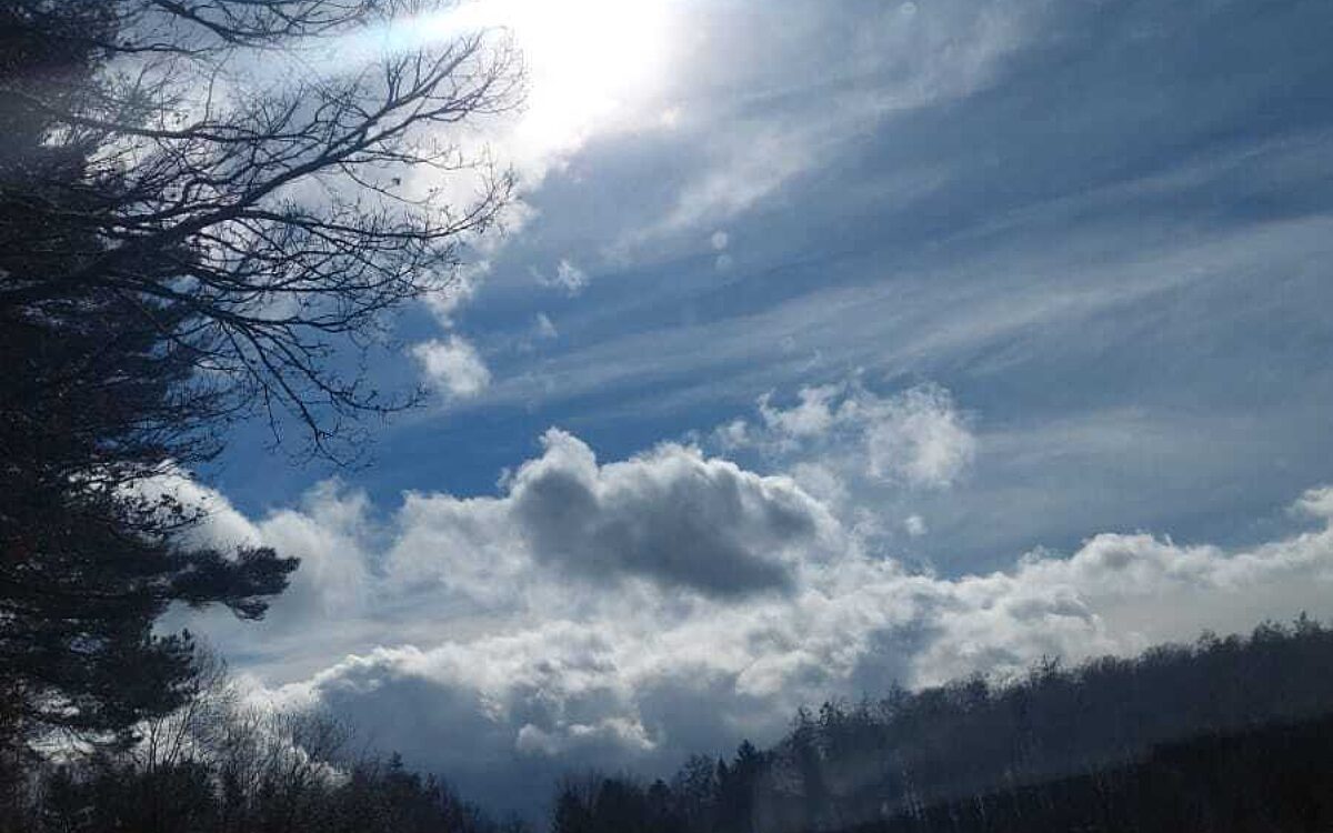 Waldfriedhof Sailauf von Melle Waldfriedhof Sailauf von Melle