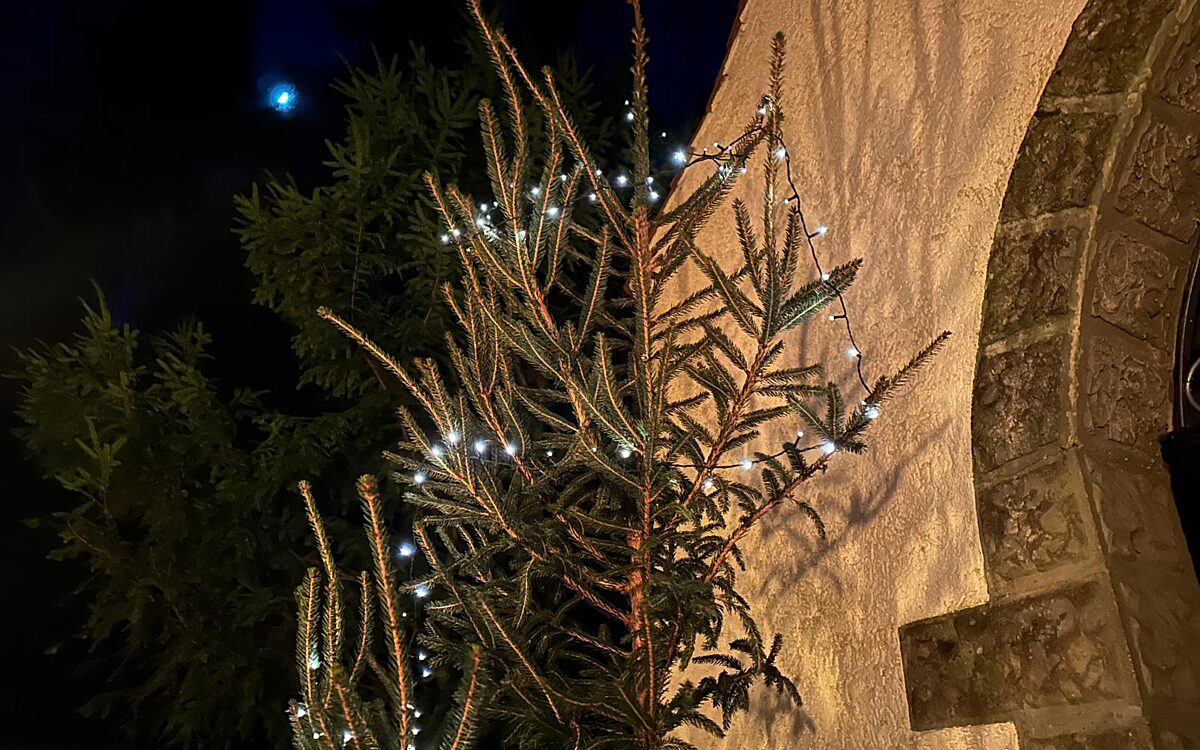 Waldweihnacht 10 Waldweihnacht 10