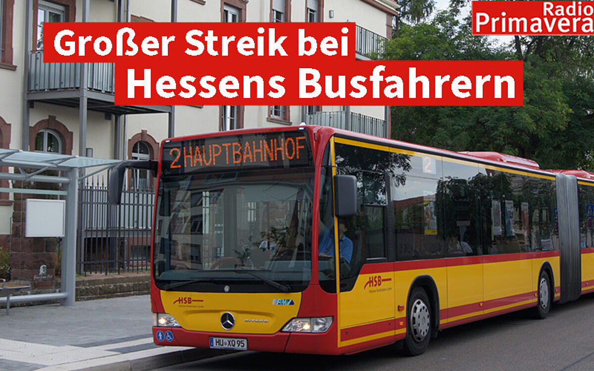 Website Streik Website Streik