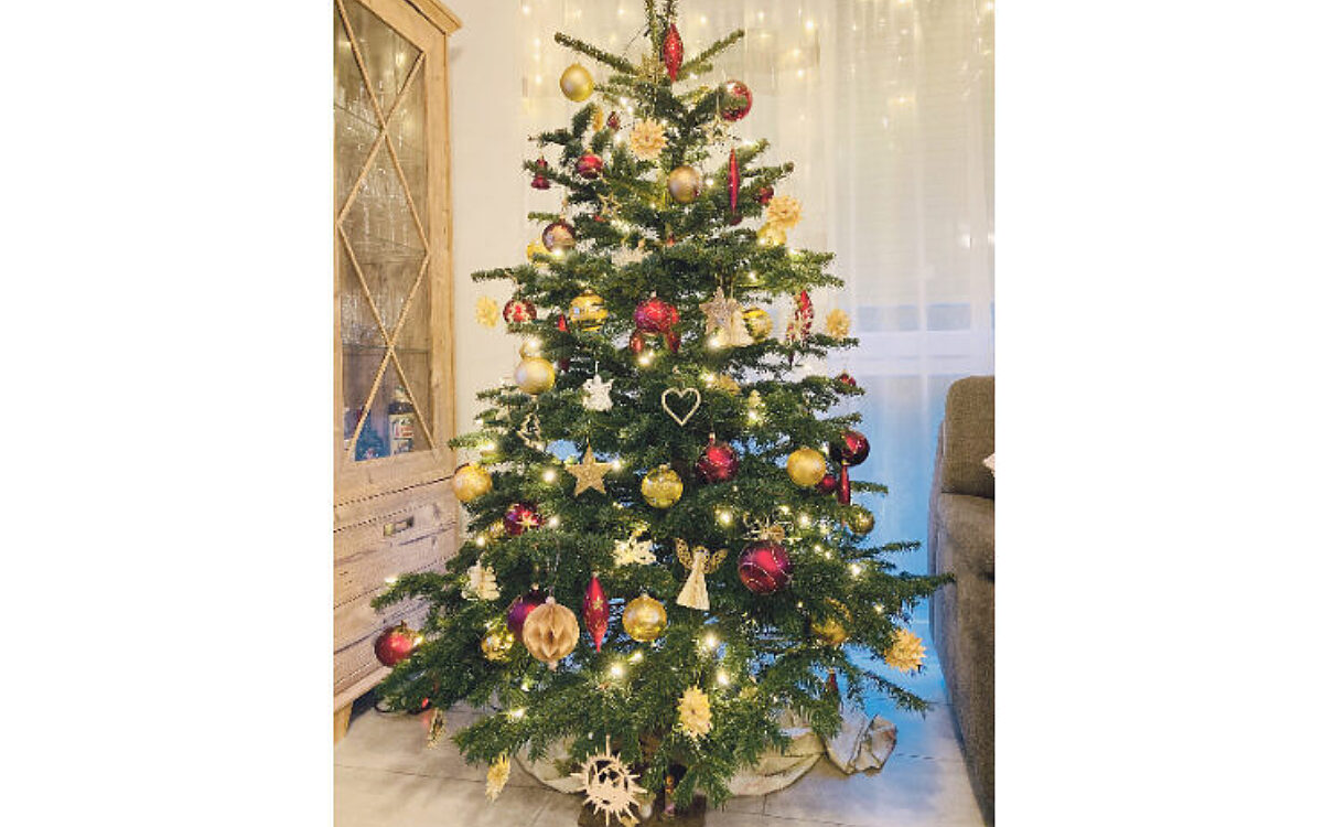 Weihnachtsbaum Weihnachtsbaum