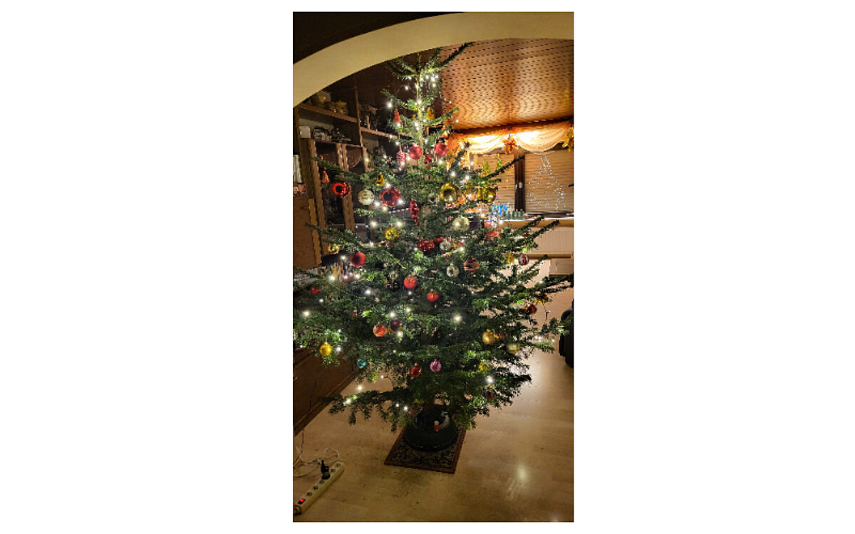 Weihnachtsbaum Eich Weihnachtsbaum Eich