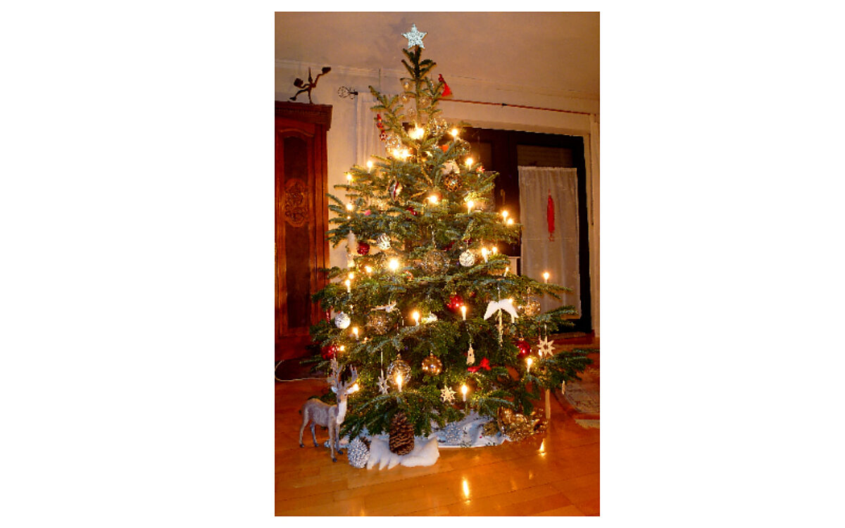 Weihnachtsbaum Herz Weihnachtsbaum Herz