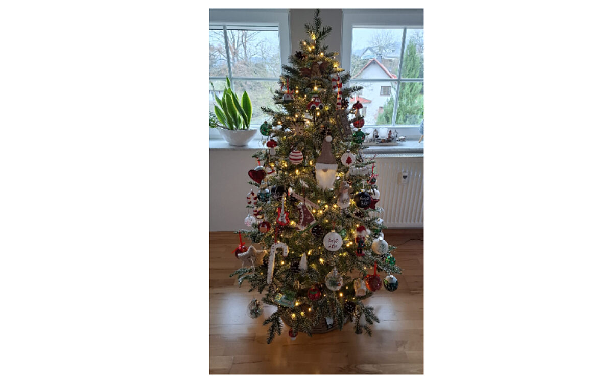 Weihnachtsbaum Koelsch Weihnachtsbaum Koelsch