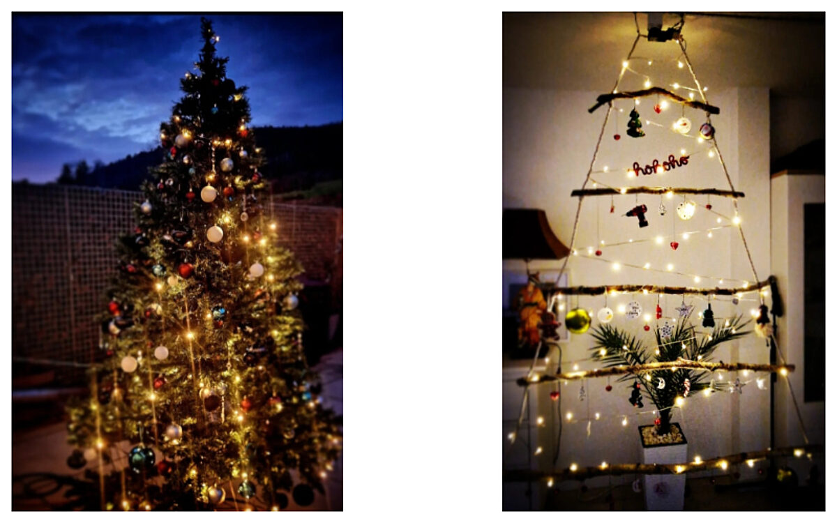 Weihnachtsbaum Schreck Weihnachtsbaum Schreck